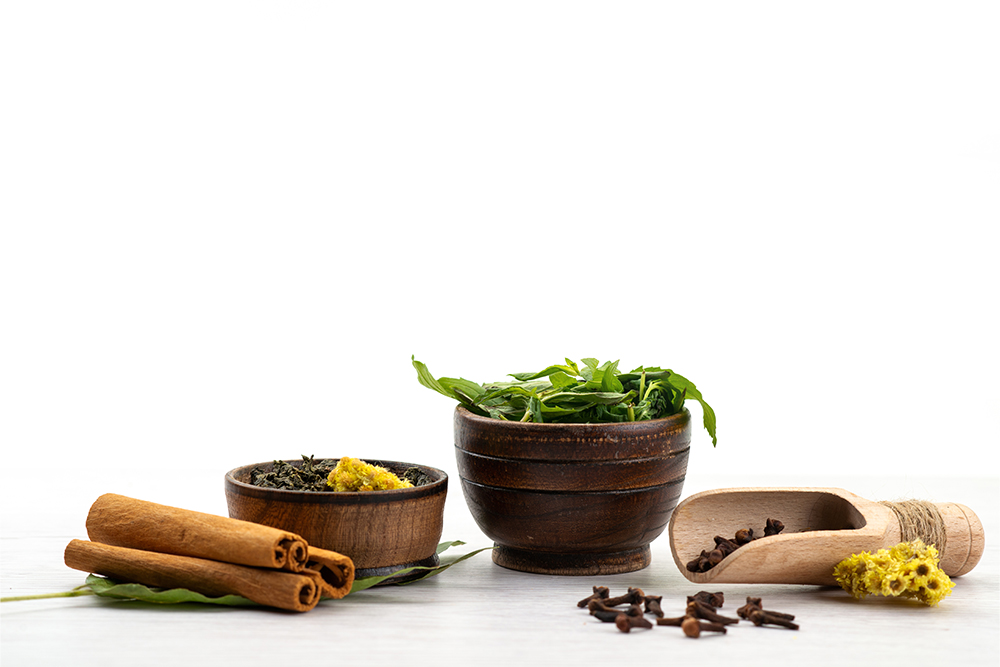 8 branches of ayurveda