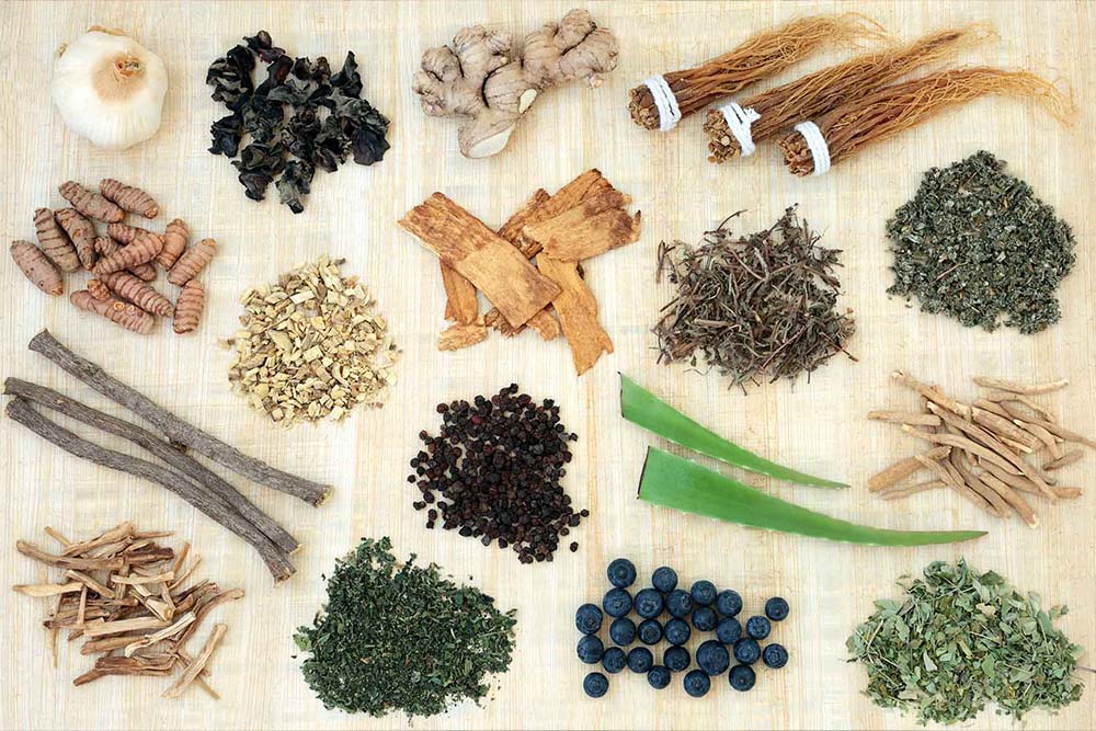 Ayurvedic Herbs and Spices with Health Benefits